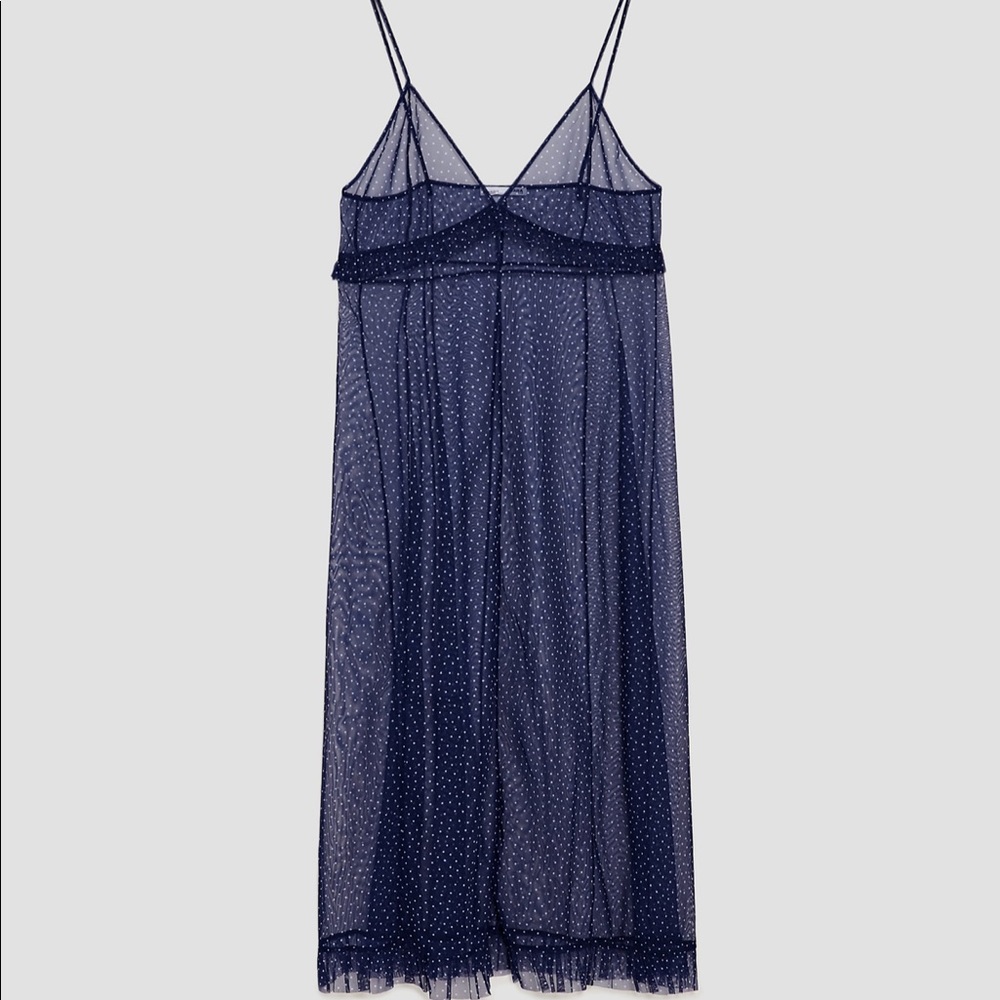 Sheer Swiss Dot Dress